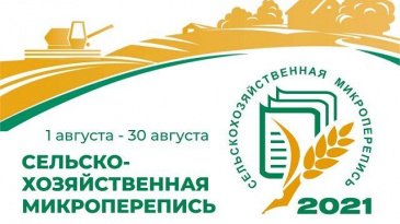 В этом году помимо Всероссийской переписи населения состоится сельскохозяйственная микроперепись. 